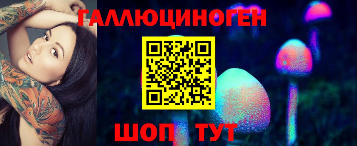 Верхняя Салда  Псилоцибиновые грибы мухоморы  Вход с VPN 